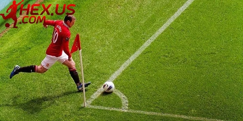 Mẹo chơi cược thắng đậm dành cho các tân binh mới tham gia