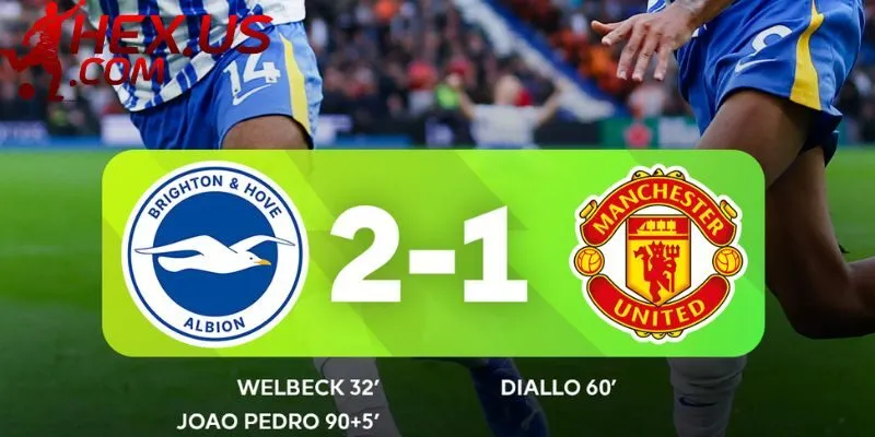 Lý do chuyên mục được nhiều người chọn