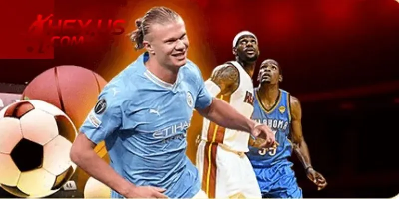 Trang web sở hữu nhiều giấy phép chuẩn