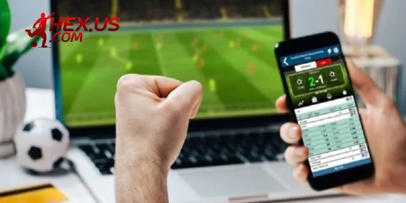 Đôi nét về website