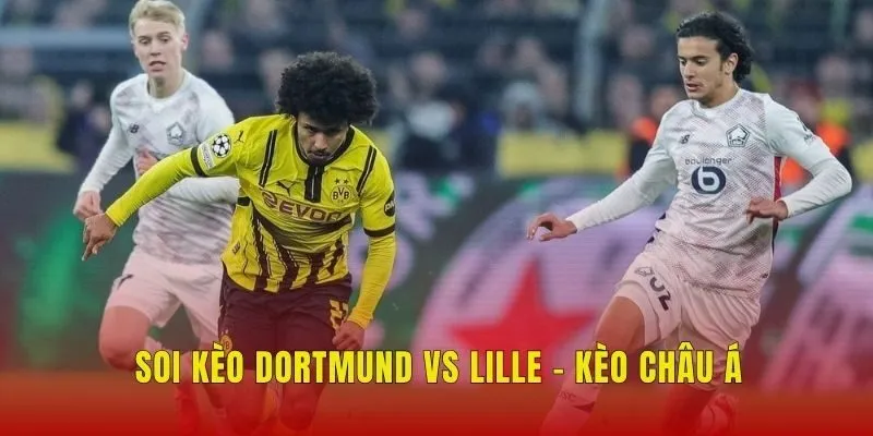 Soi kèo Dortmund vs Lille - Kèo châu Á