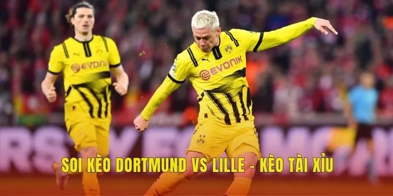 Soi kèo Dortmund vs Lille - Kèo tài xỉu